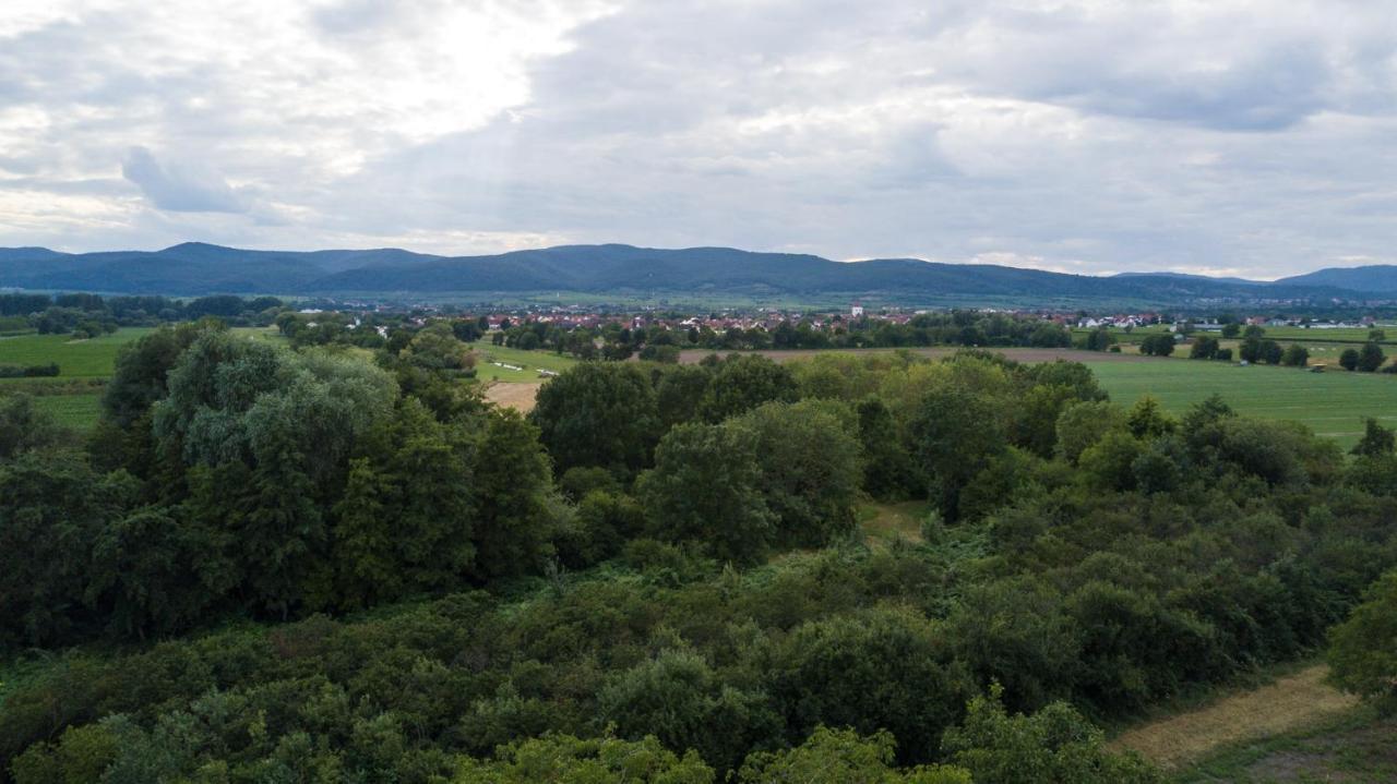 Villa Ferienhaus Lenchen Niederkirchen bei Deidesheim Exterior foto